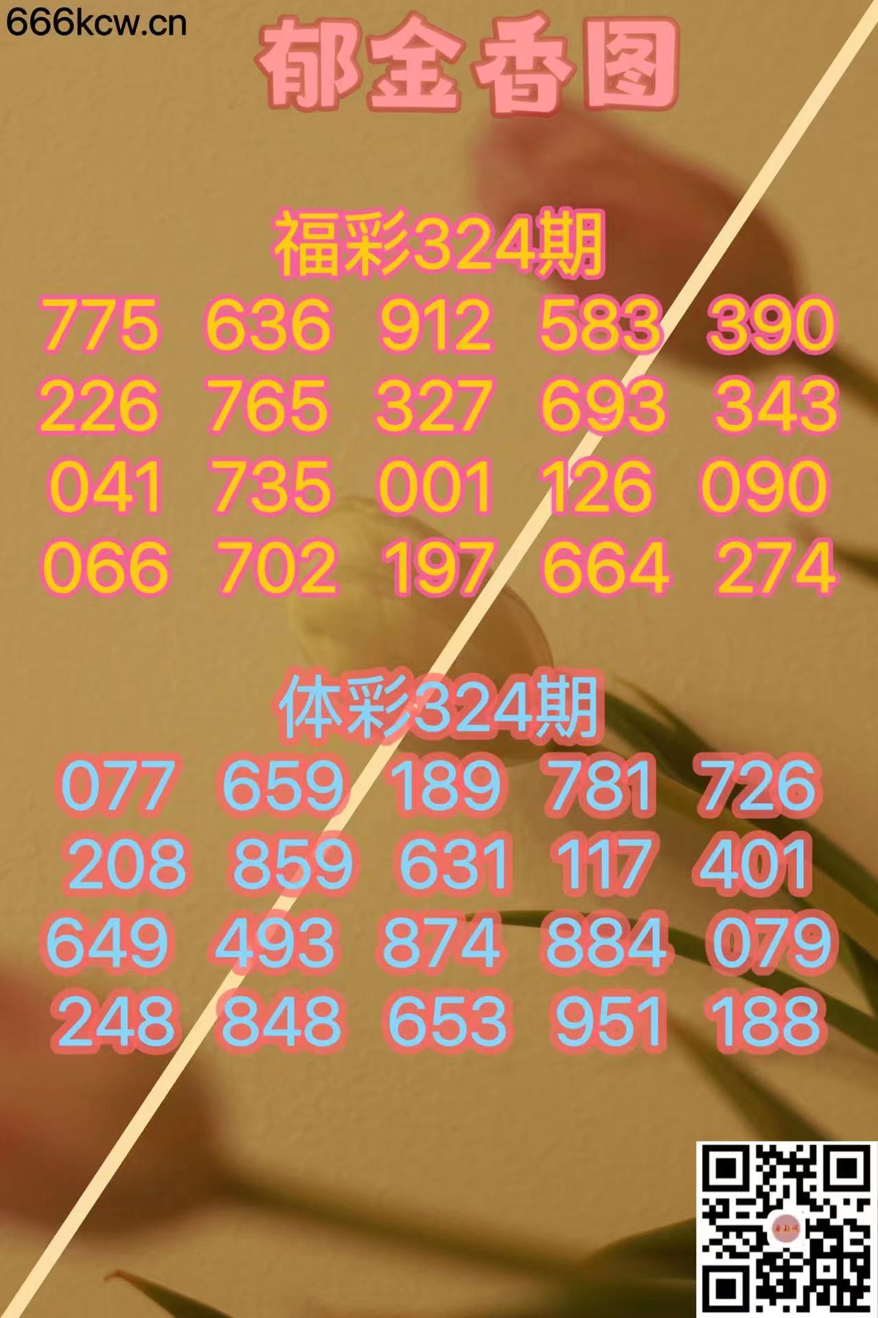 微信图片_20231204181204