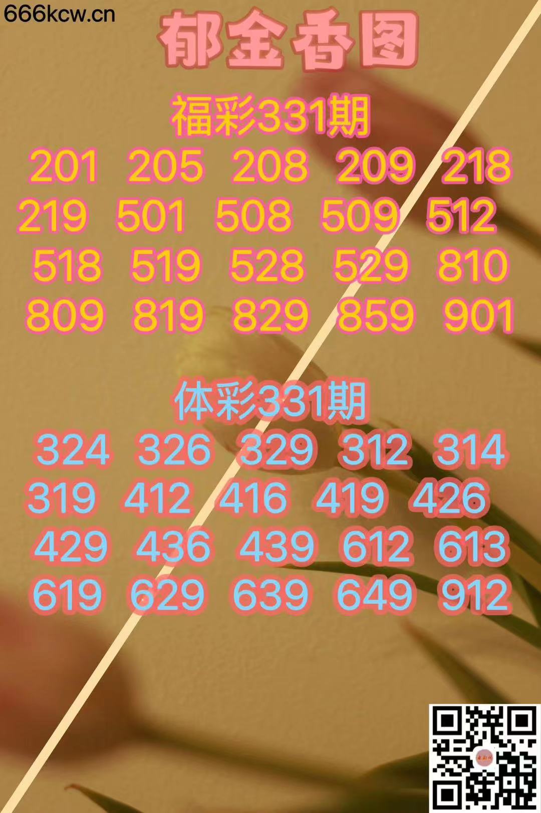 微信图片_20231211145756