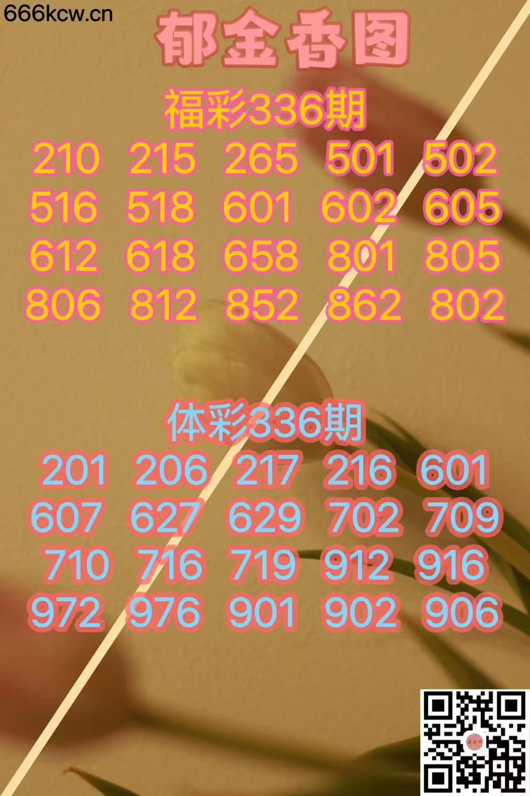 微信图片_20231216181552