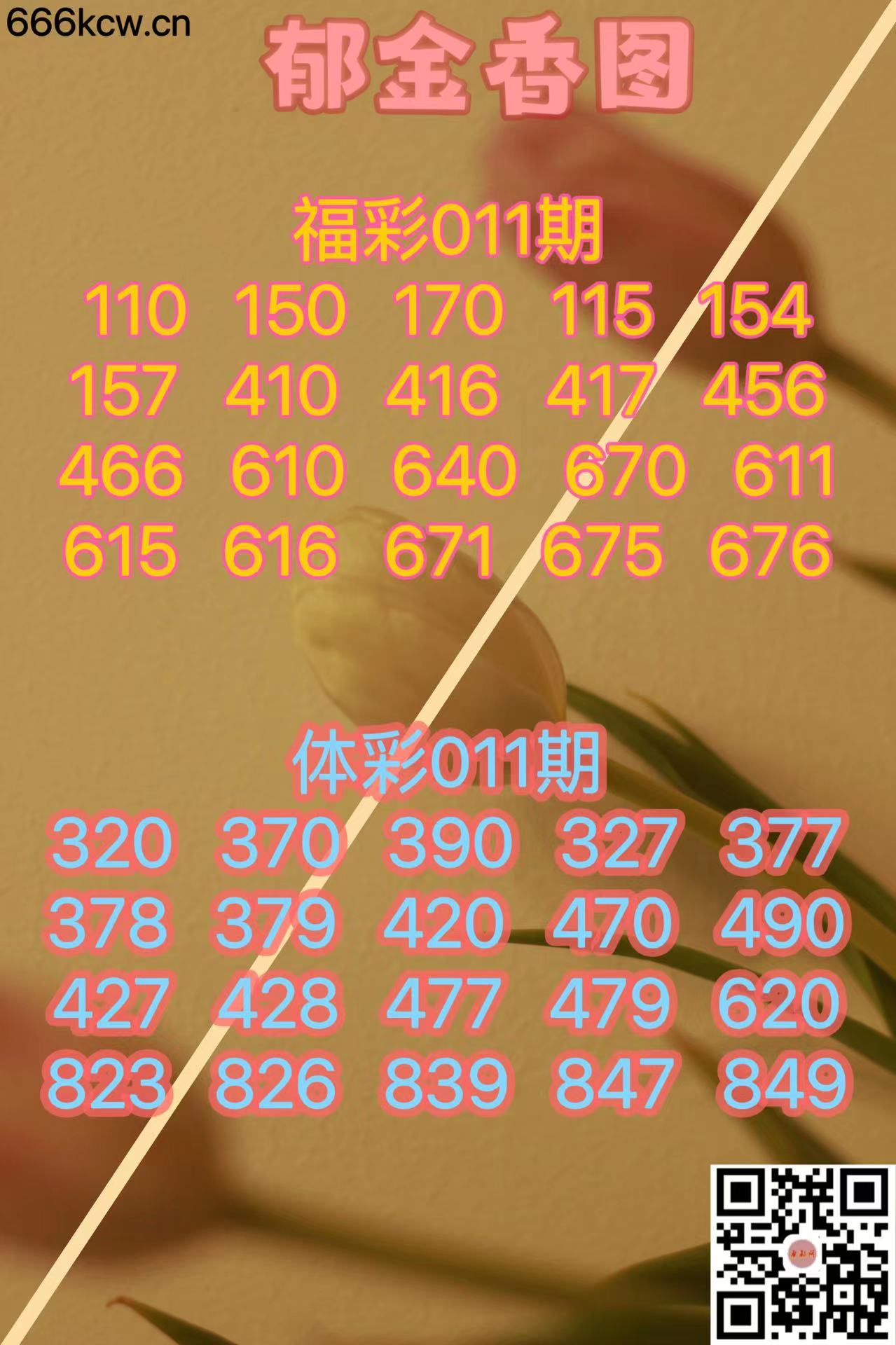 微信图片_20240111182600