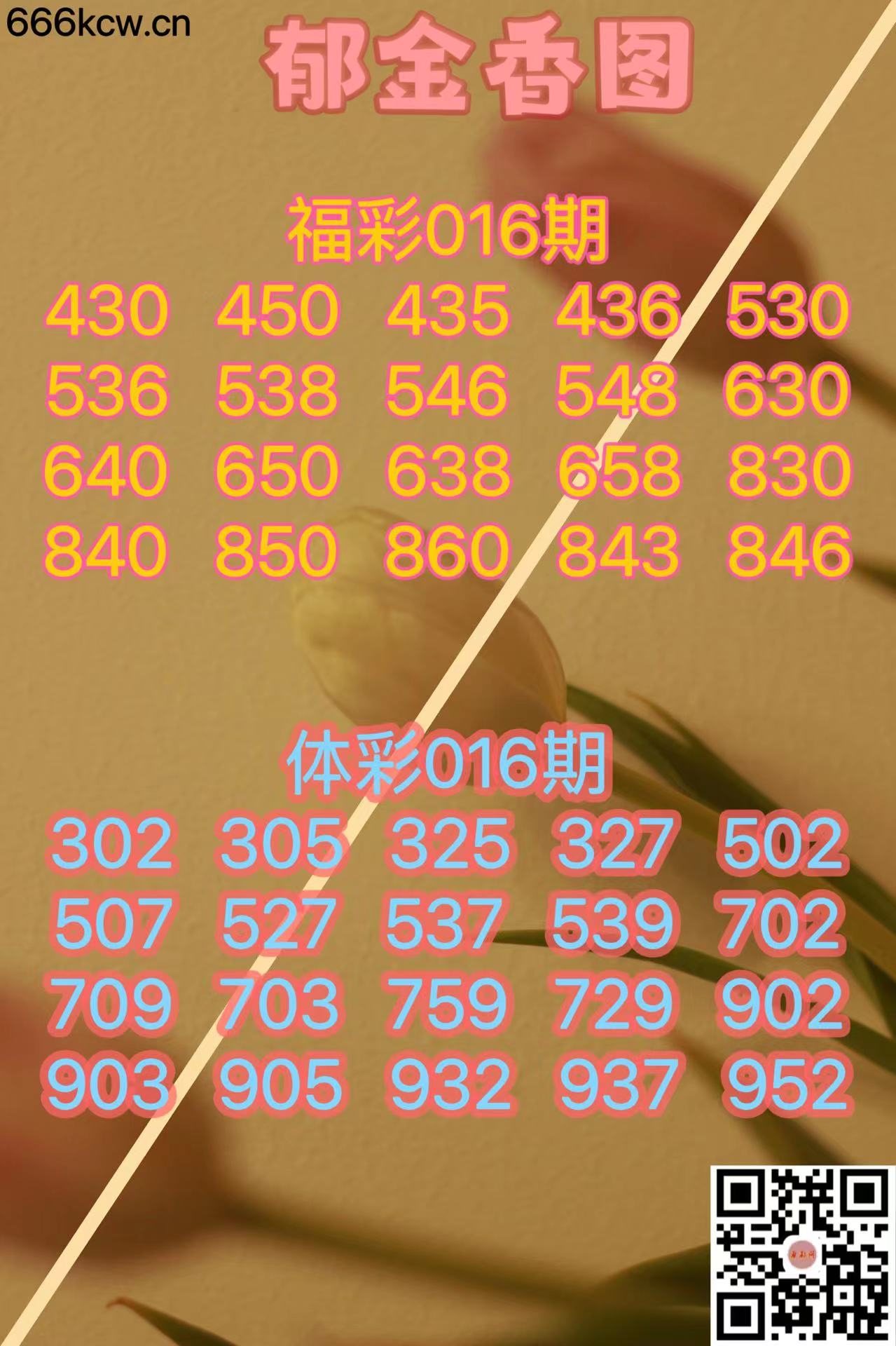 微信图片_202401161753411