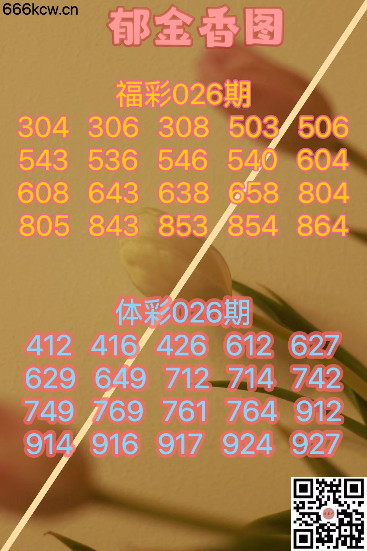 微信图片_20240126185245