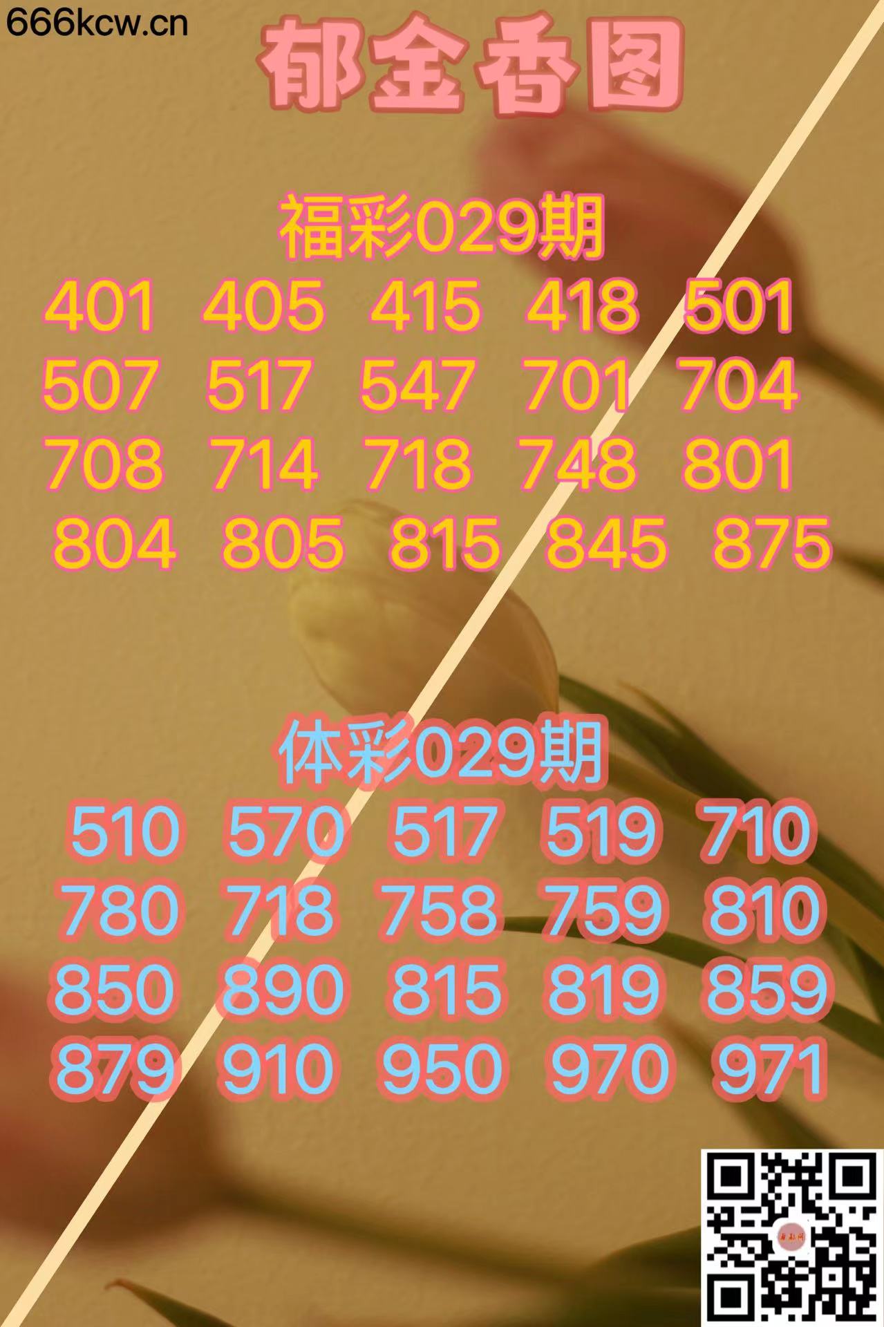 微信图片_20240129182549