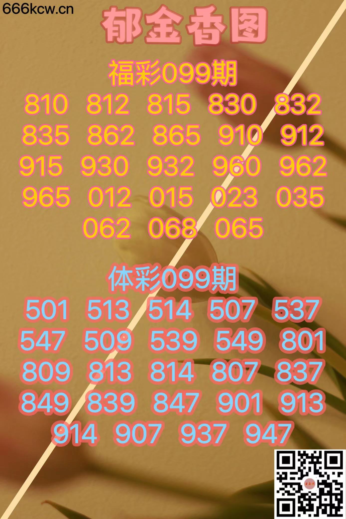 微信图片_20240418180410