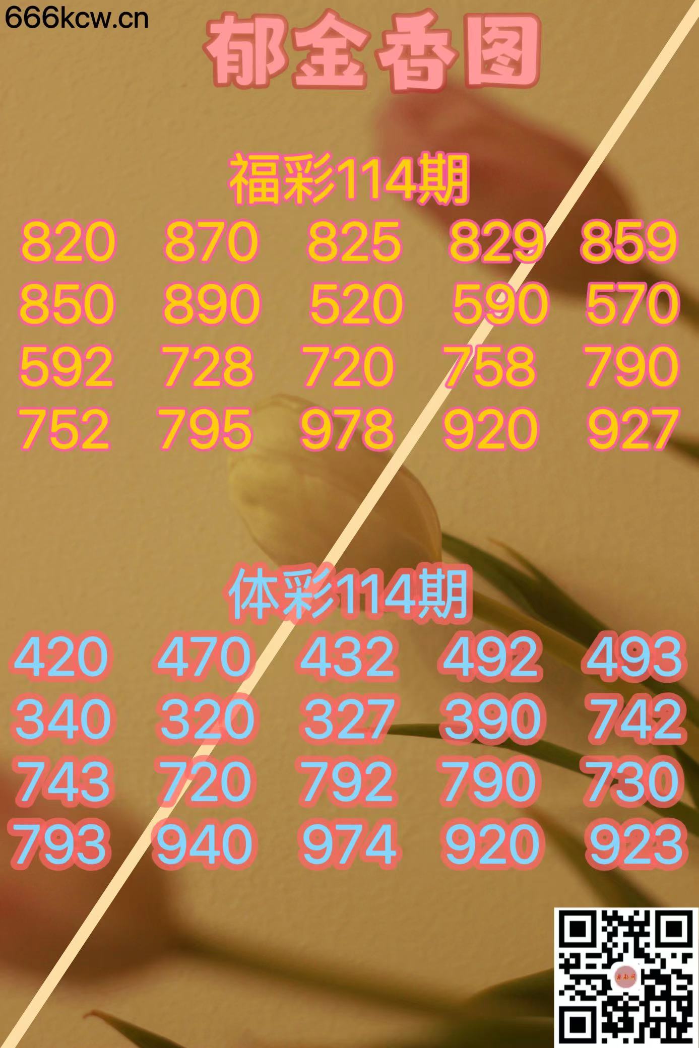 微信图片_20240503182226