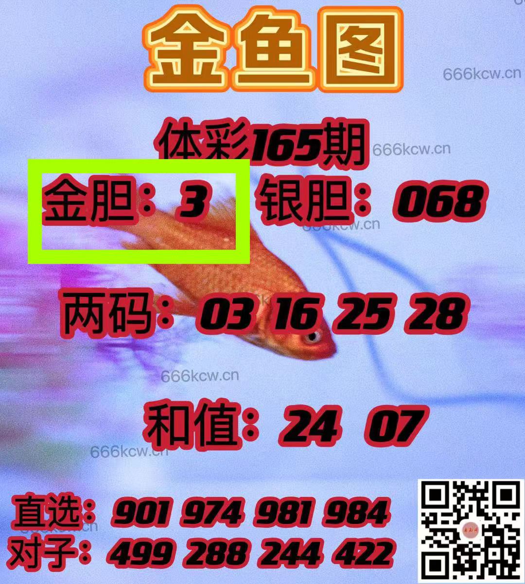 微信图片_20240624010738