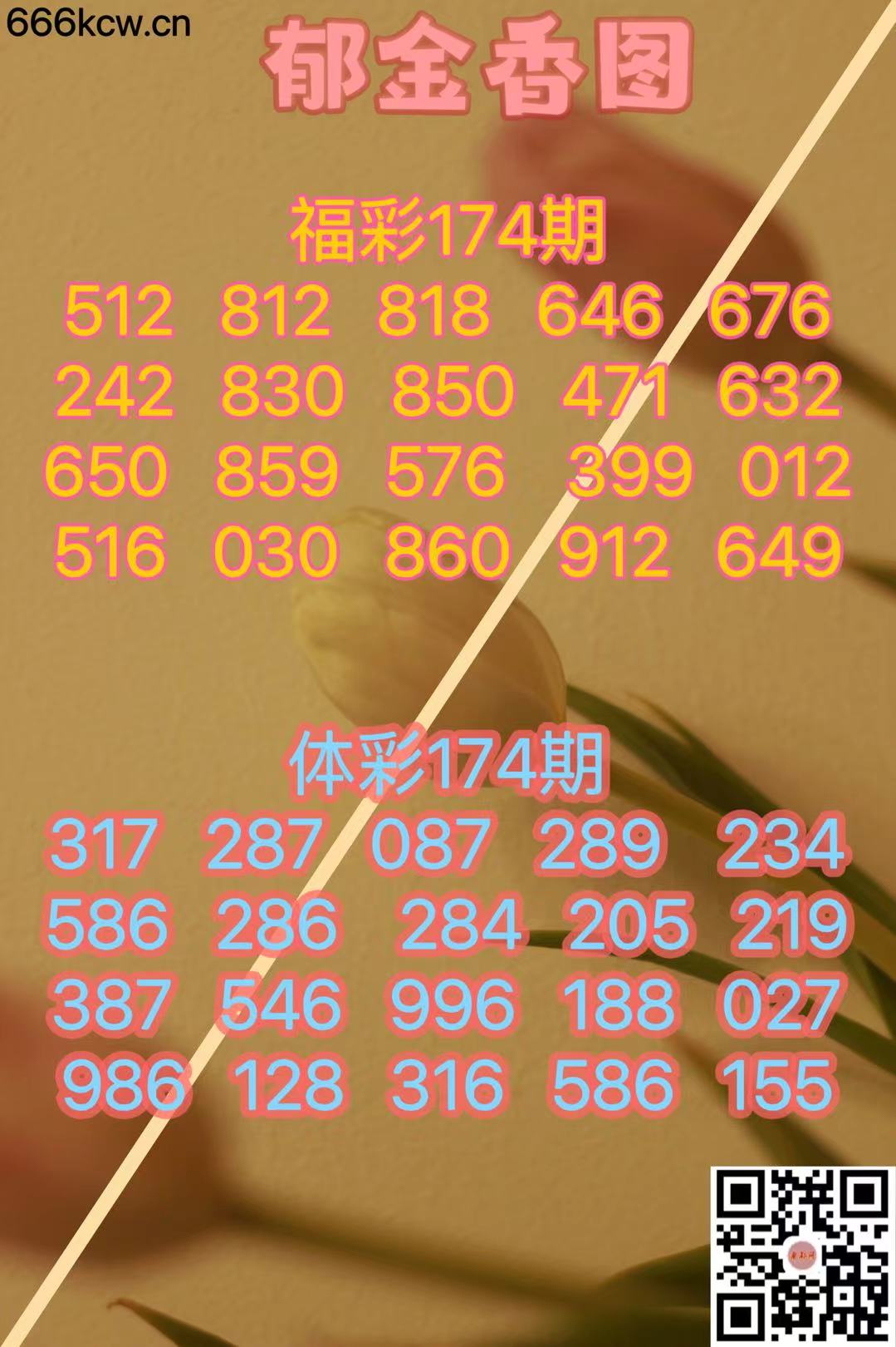 微信图片_20240702183018