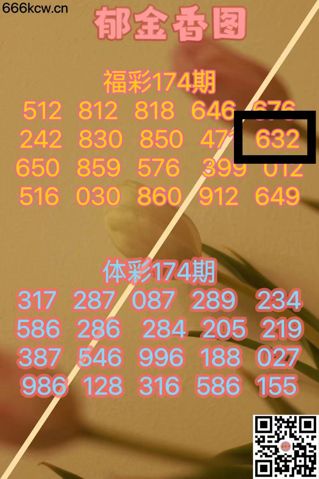 微信图片_202407030230001