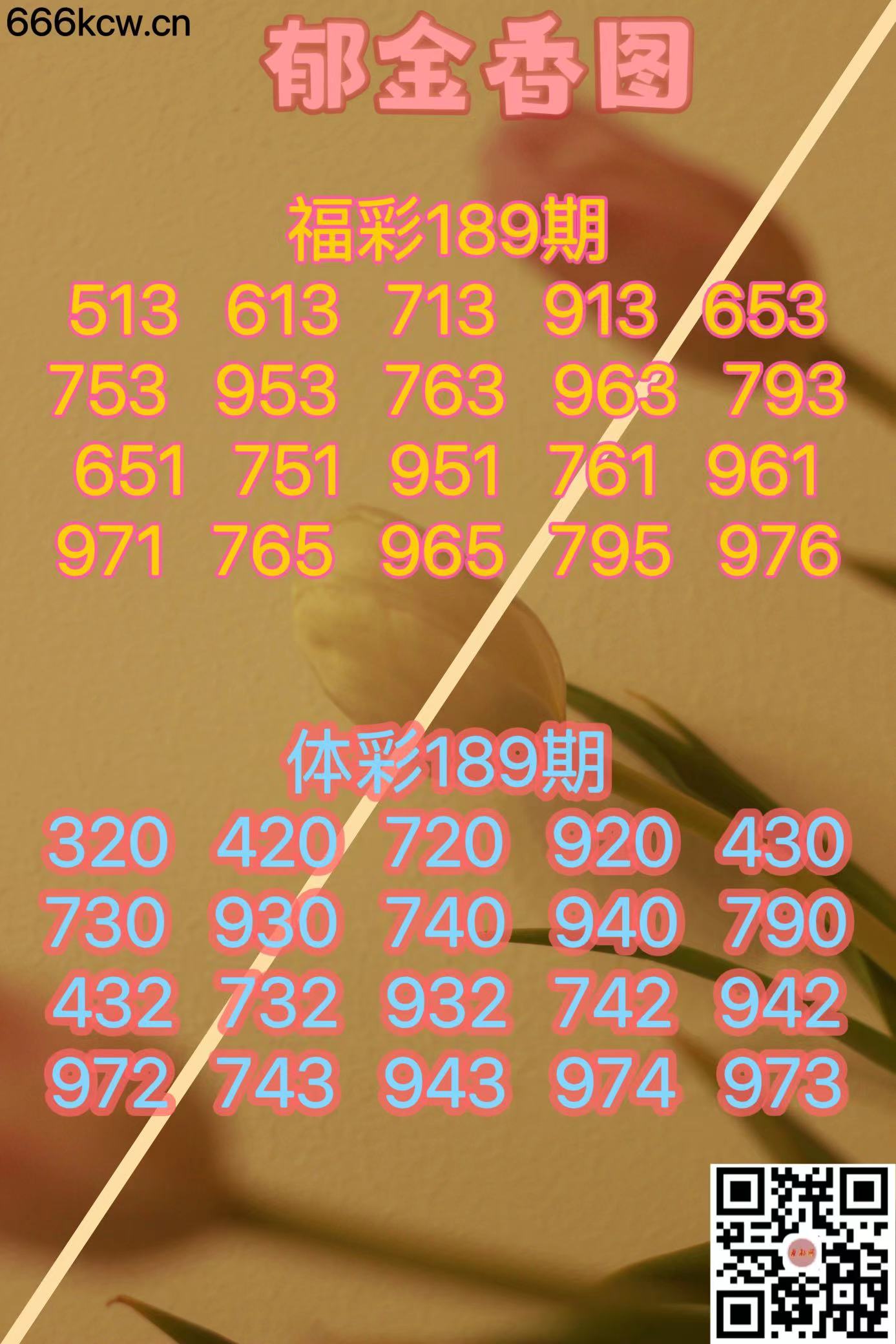 微信图片_20240717180053