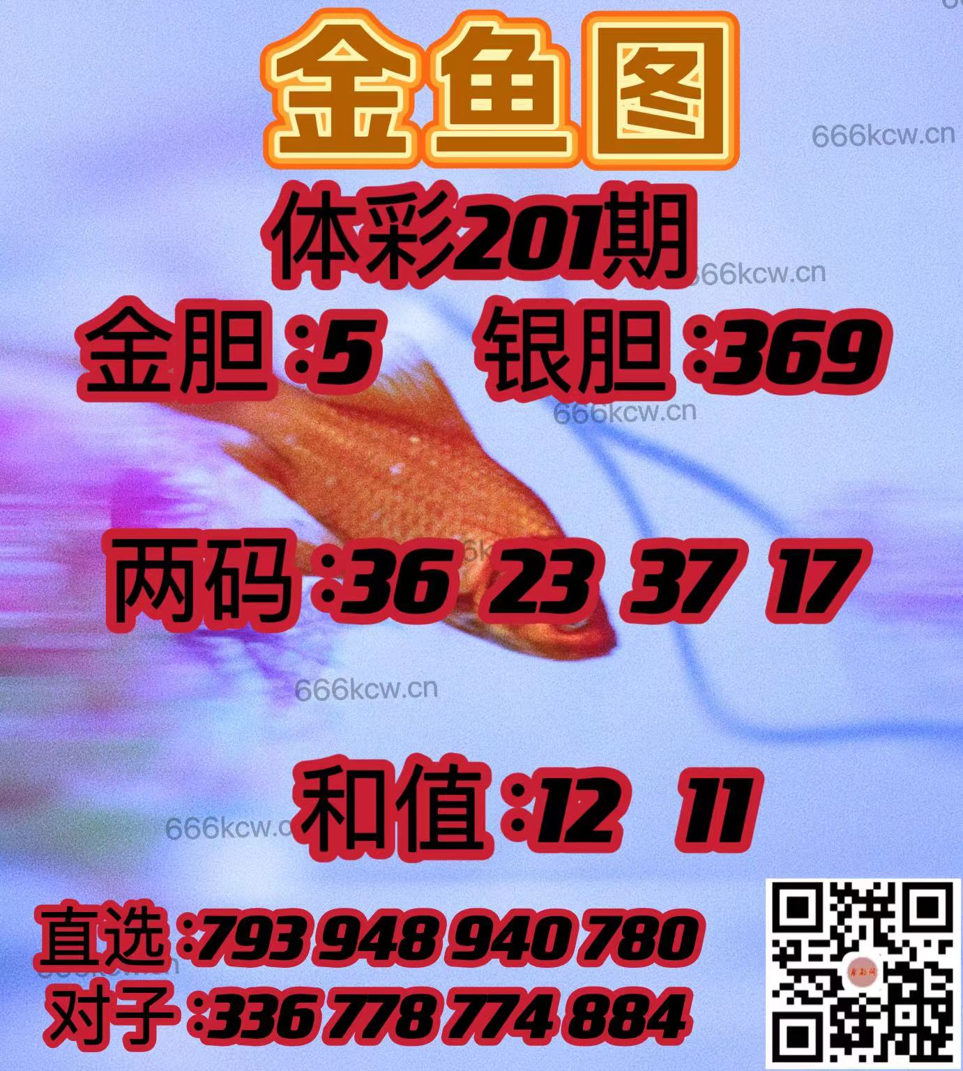 微信图片_20240729045225