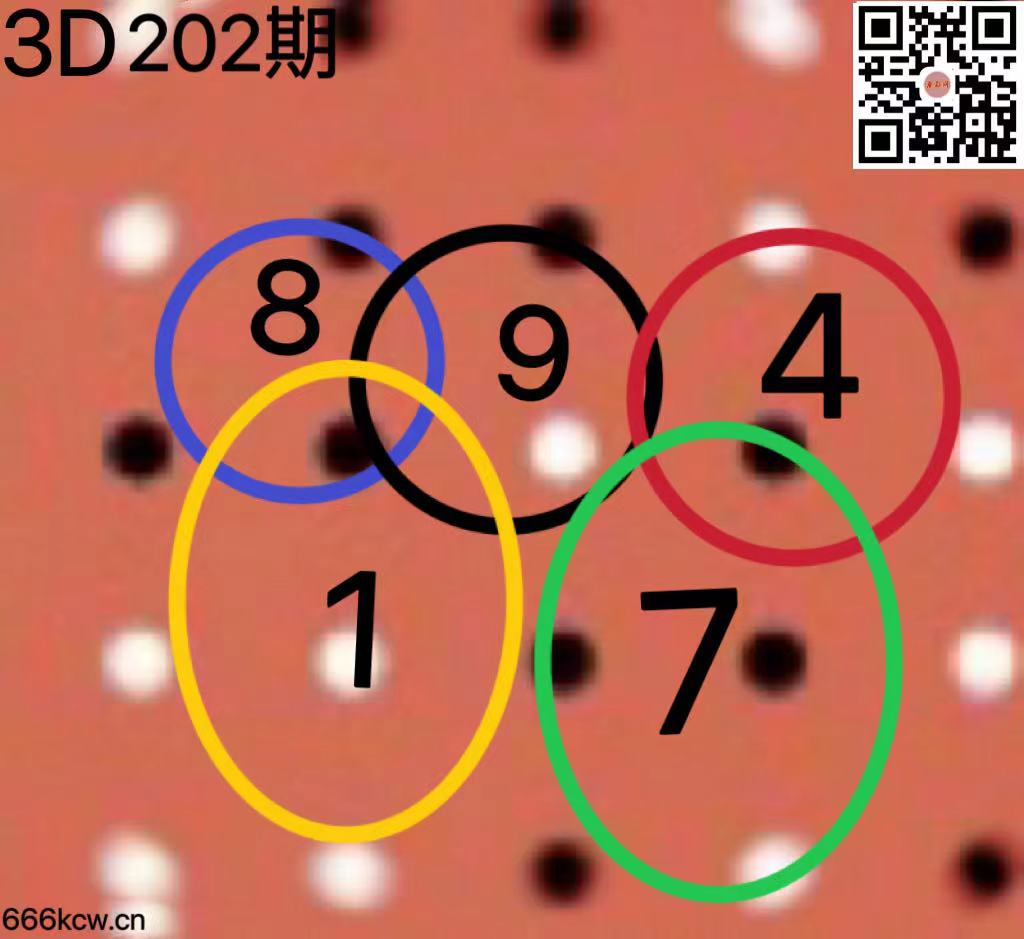 微信图片_202407300234392