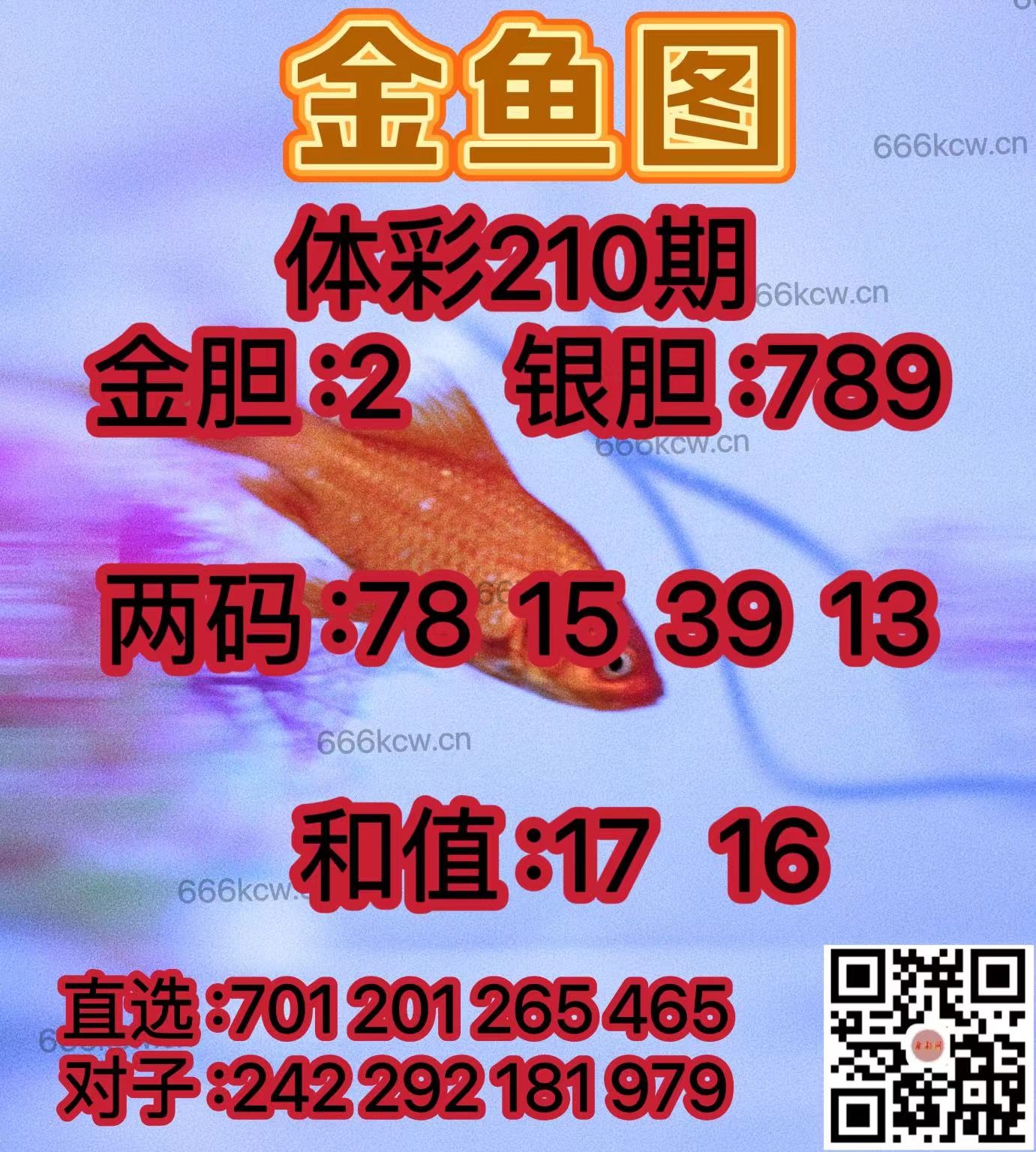 微信图片_202408070236291