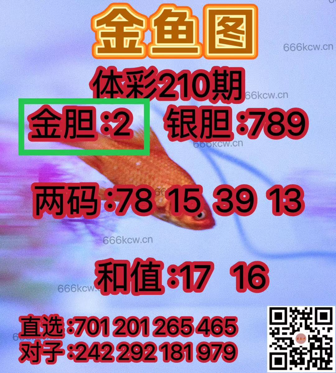 微信图片_202408080100521