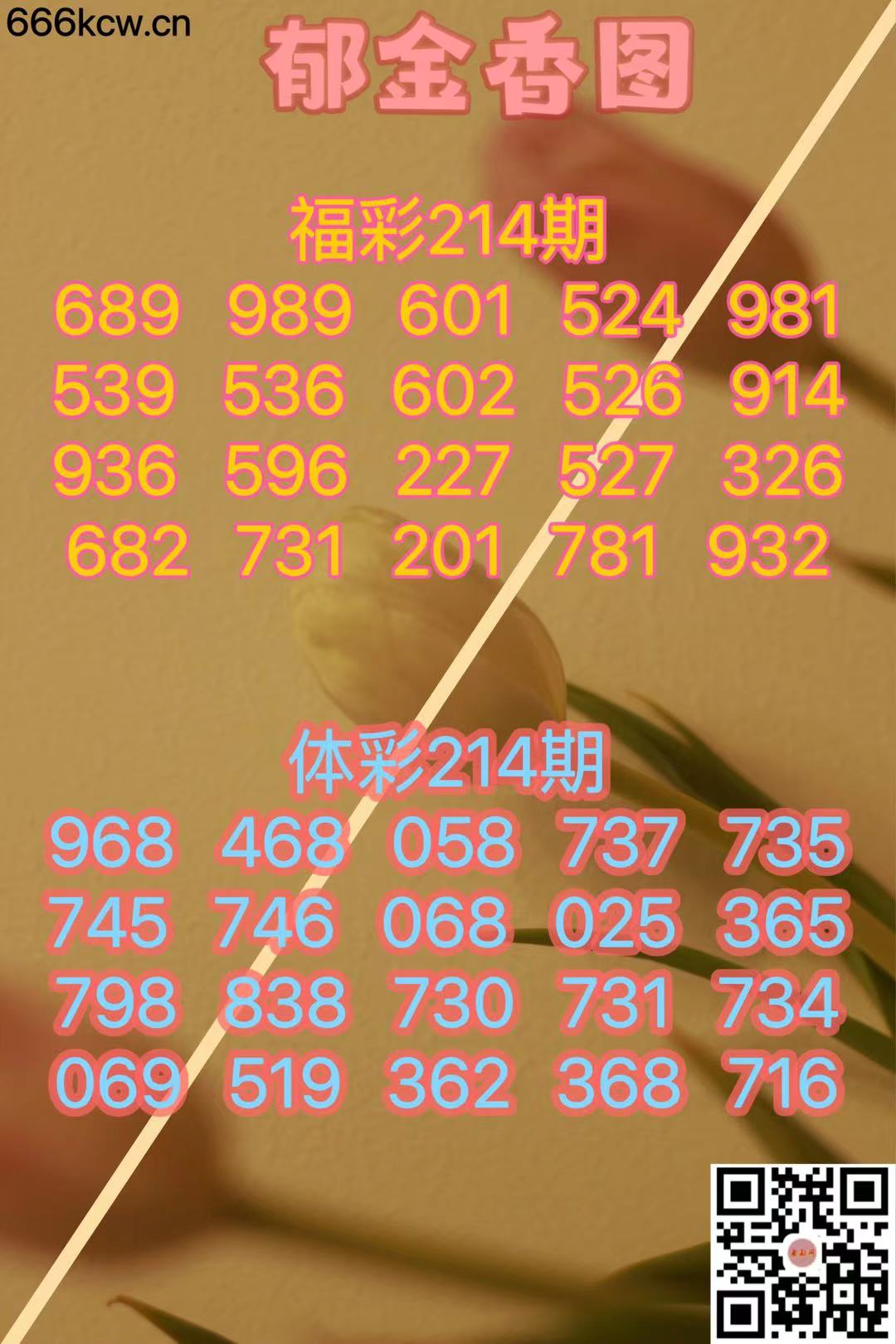 微信图片_20240811165212