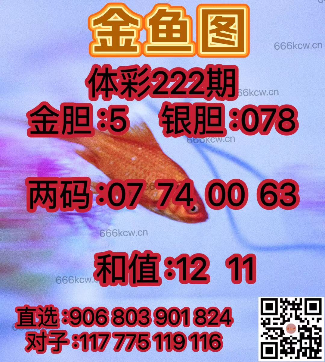 微信图片_20240819031023