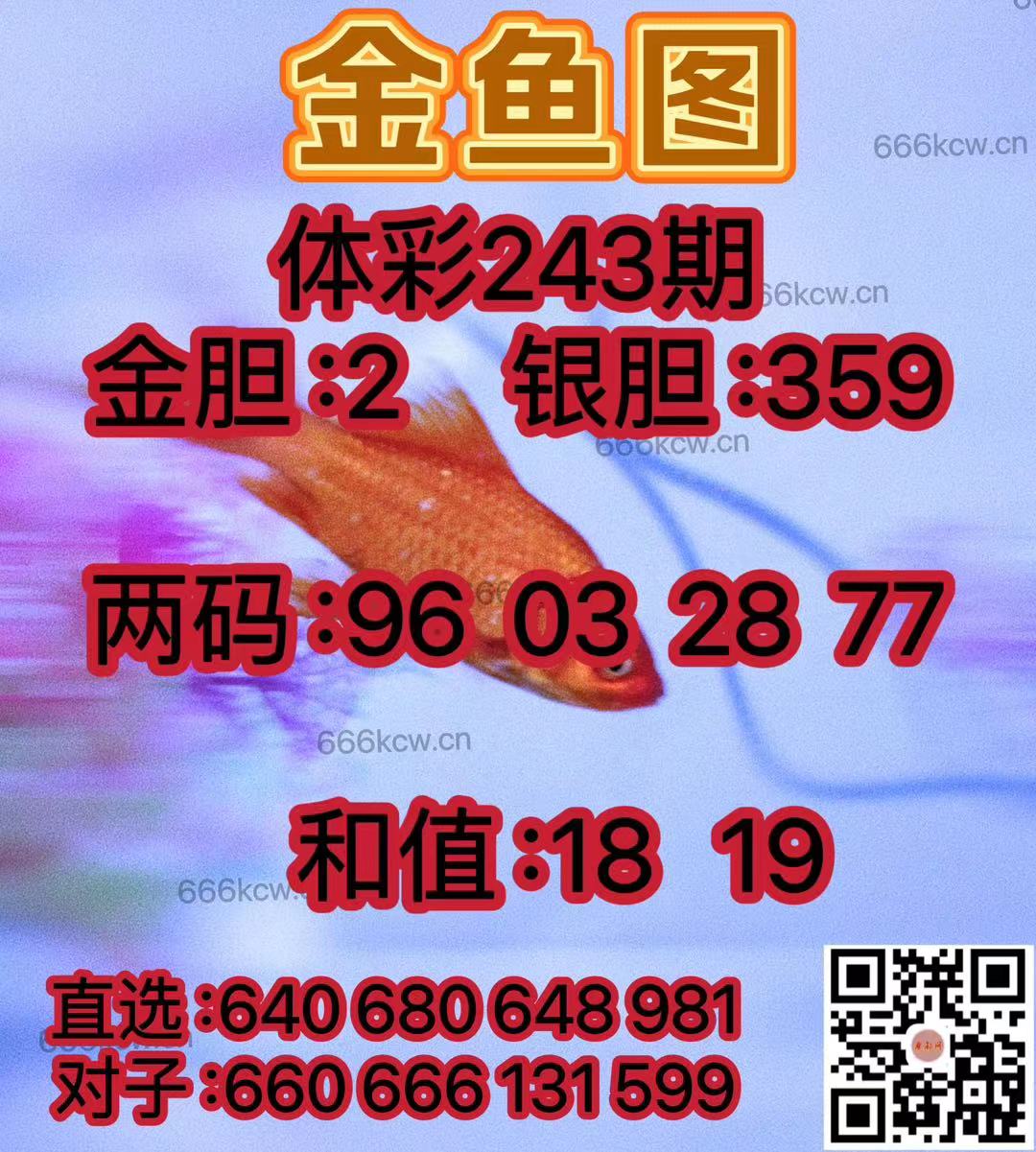 微信图片_202409090043562