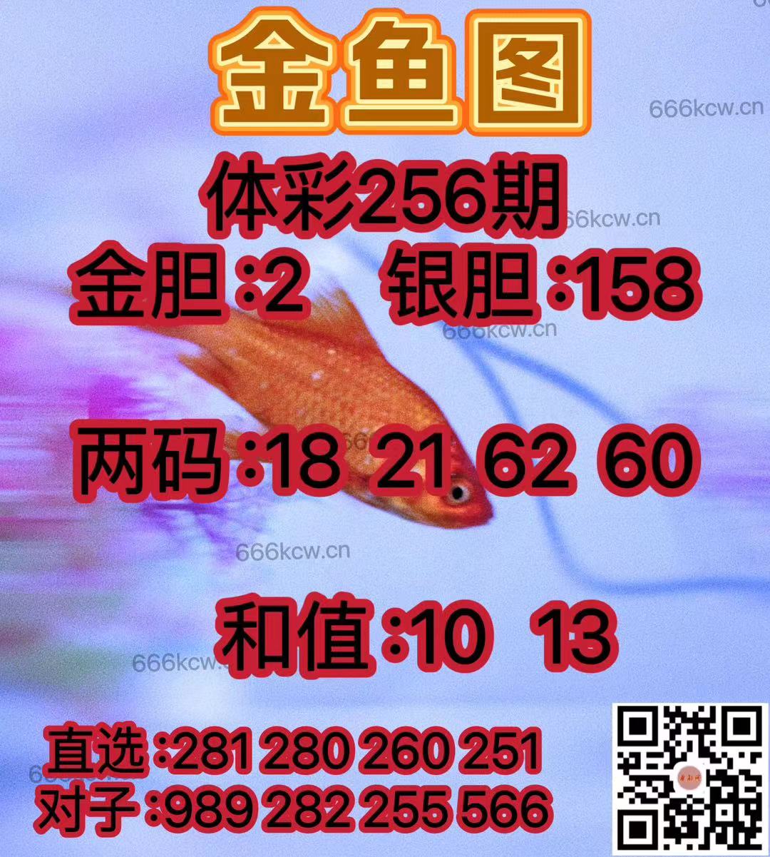 微信图片_202409220215511