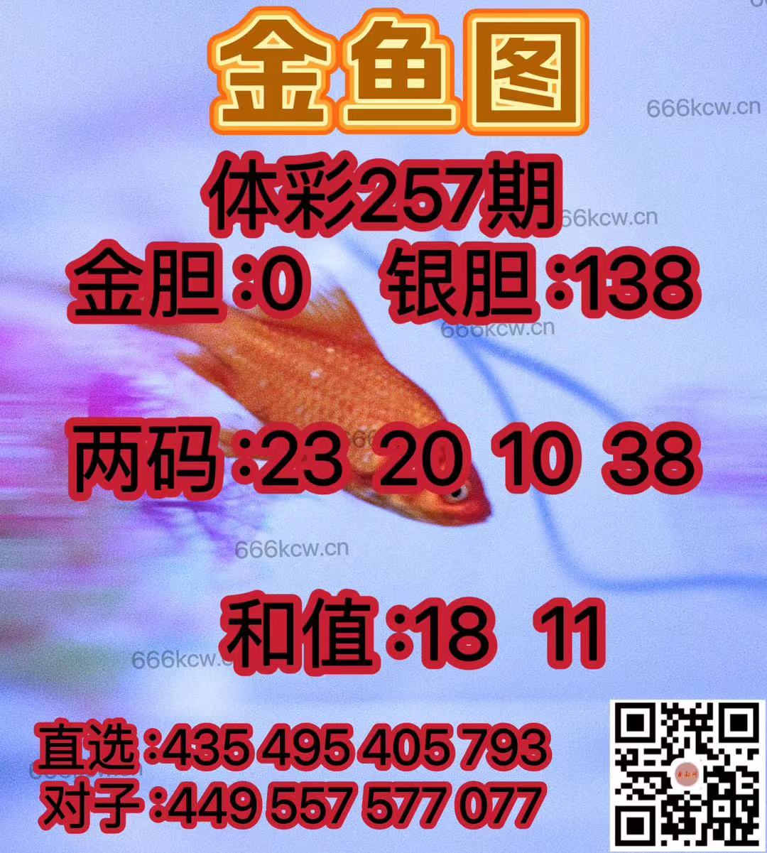 微信图片_202409230224591