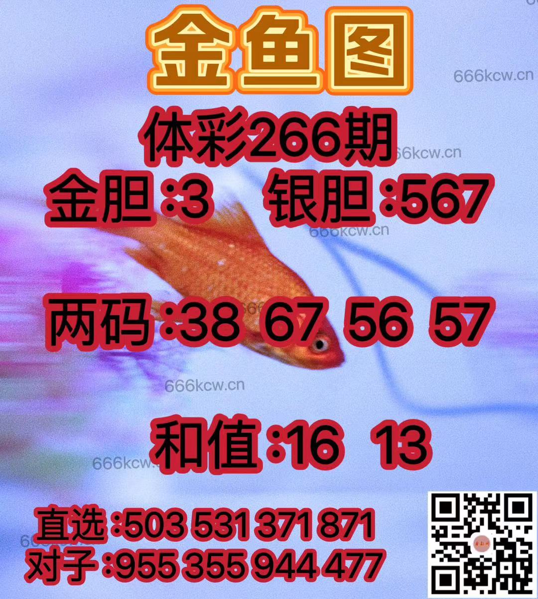 微信图片_20241006015047