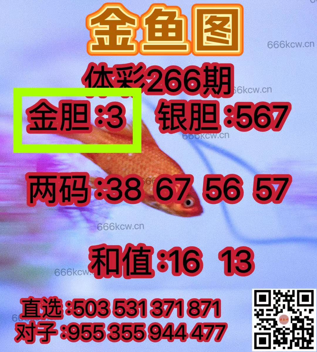 微信图片_20241007005851