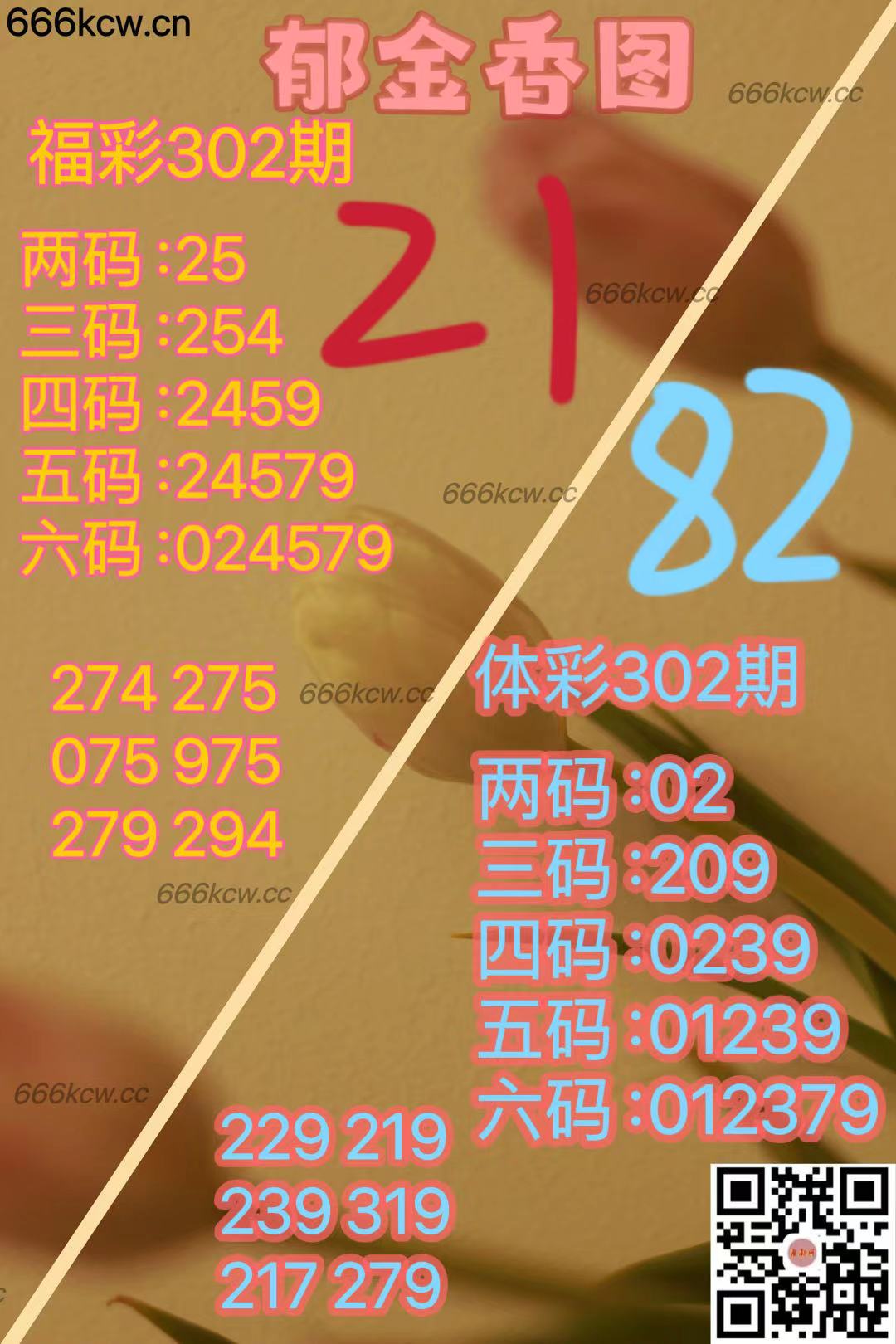 微信图片_20241111170504