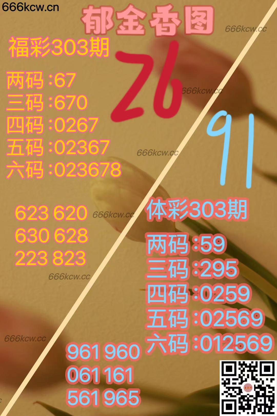 微信图片_20241112173145