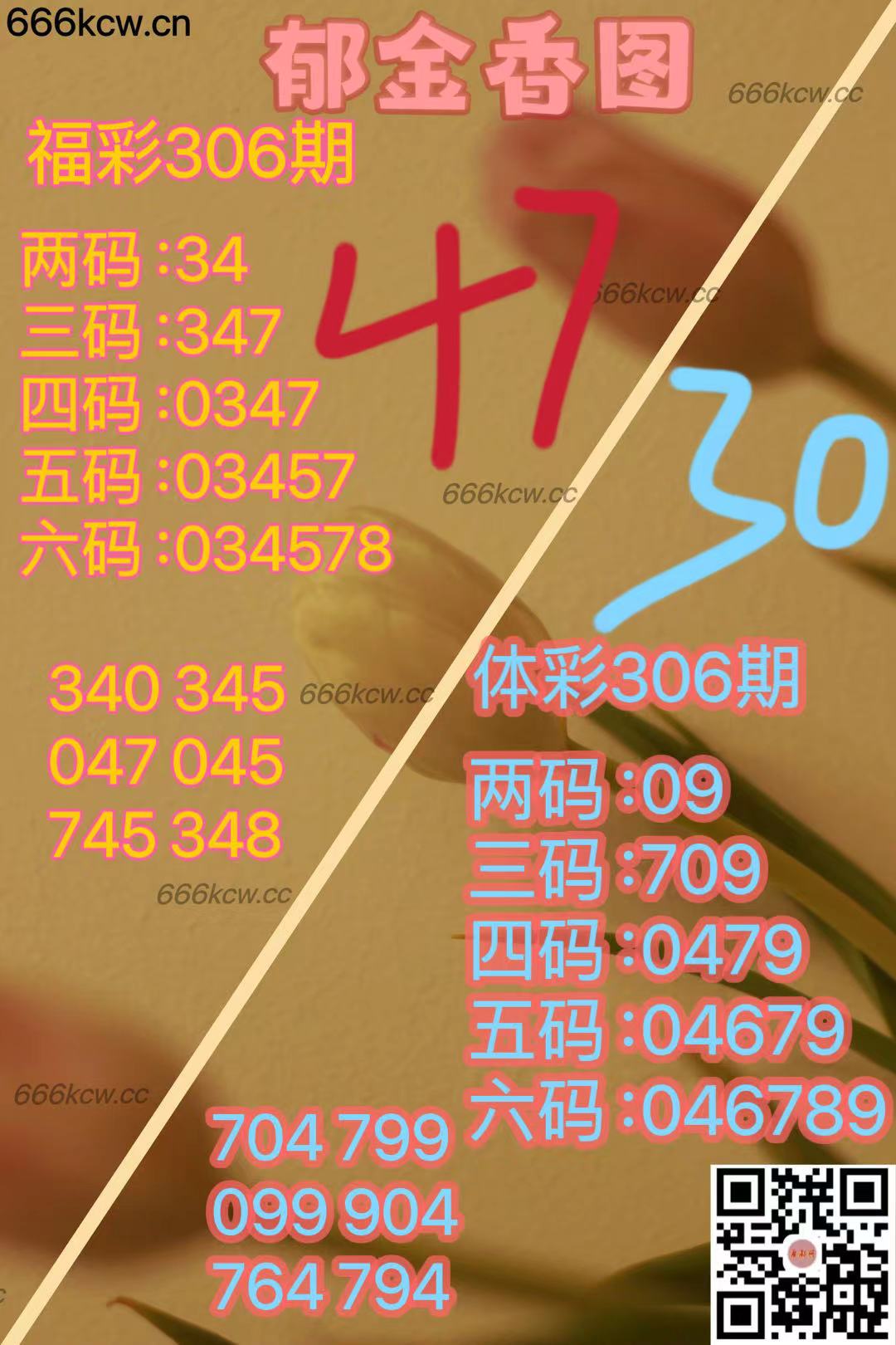 微信图片_202411151705483