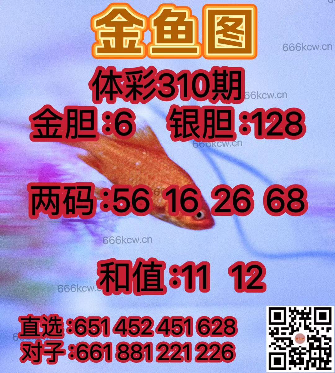 微信图片_20241118232156