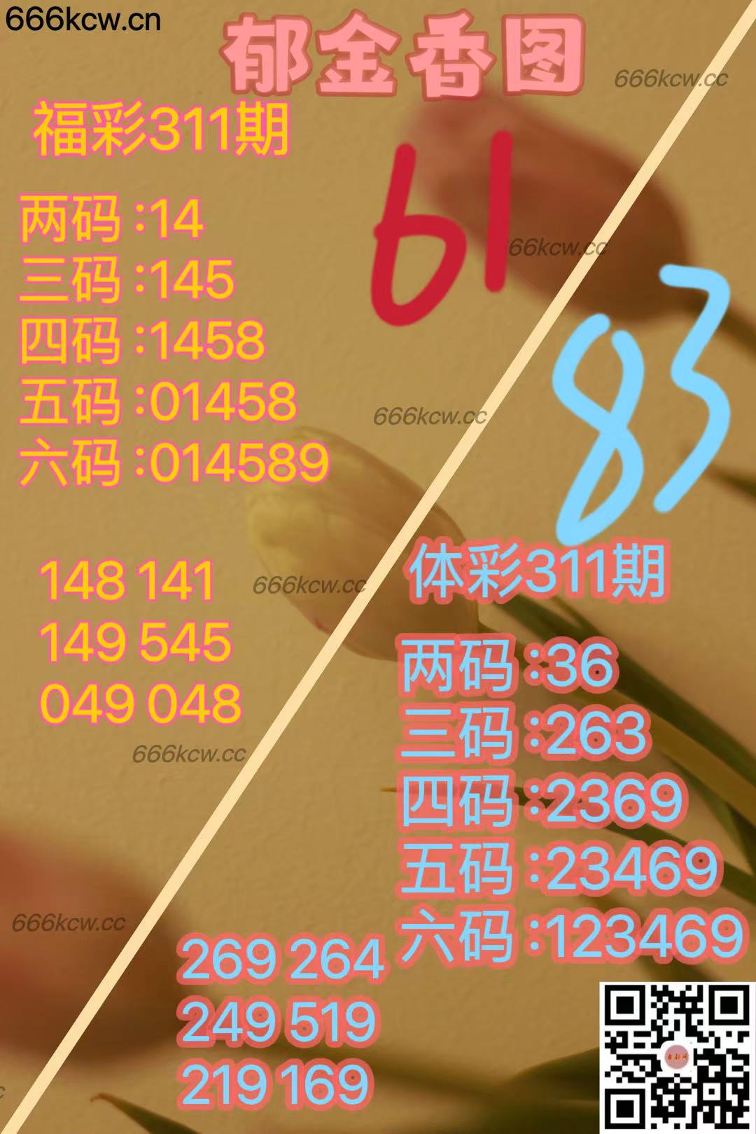 微信图片_20241120172111