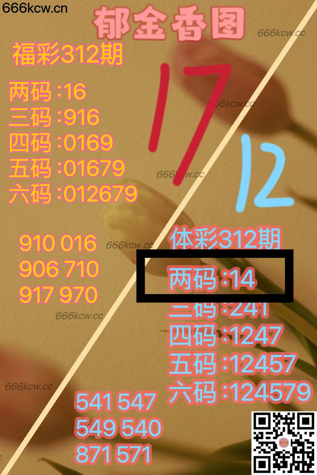 微信图片_202411220106411