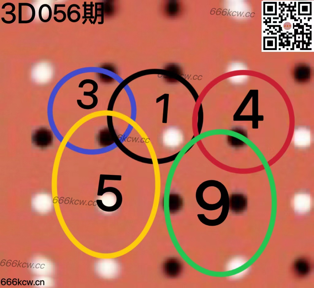 20250307 (43)