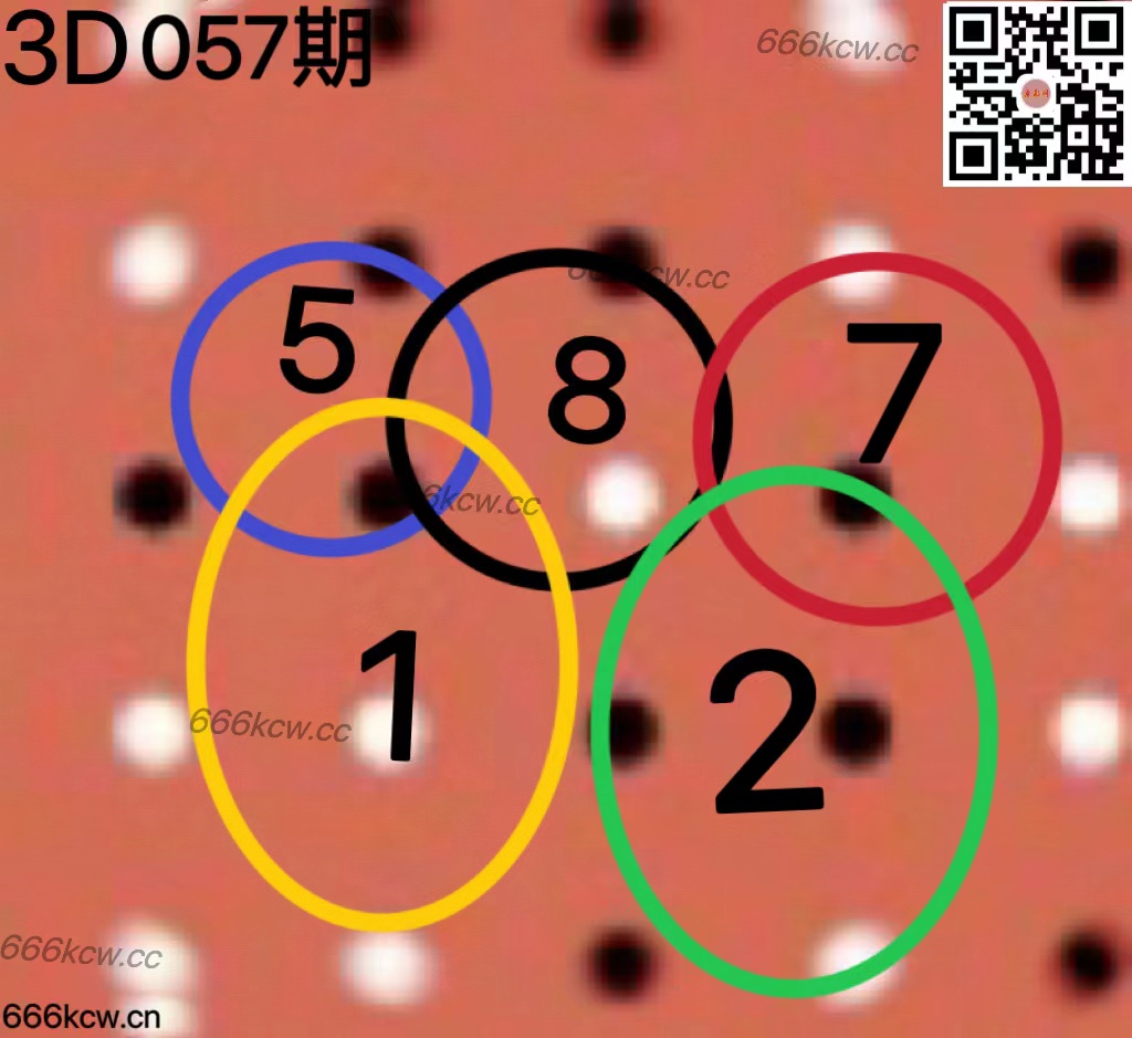 20250308 (43)