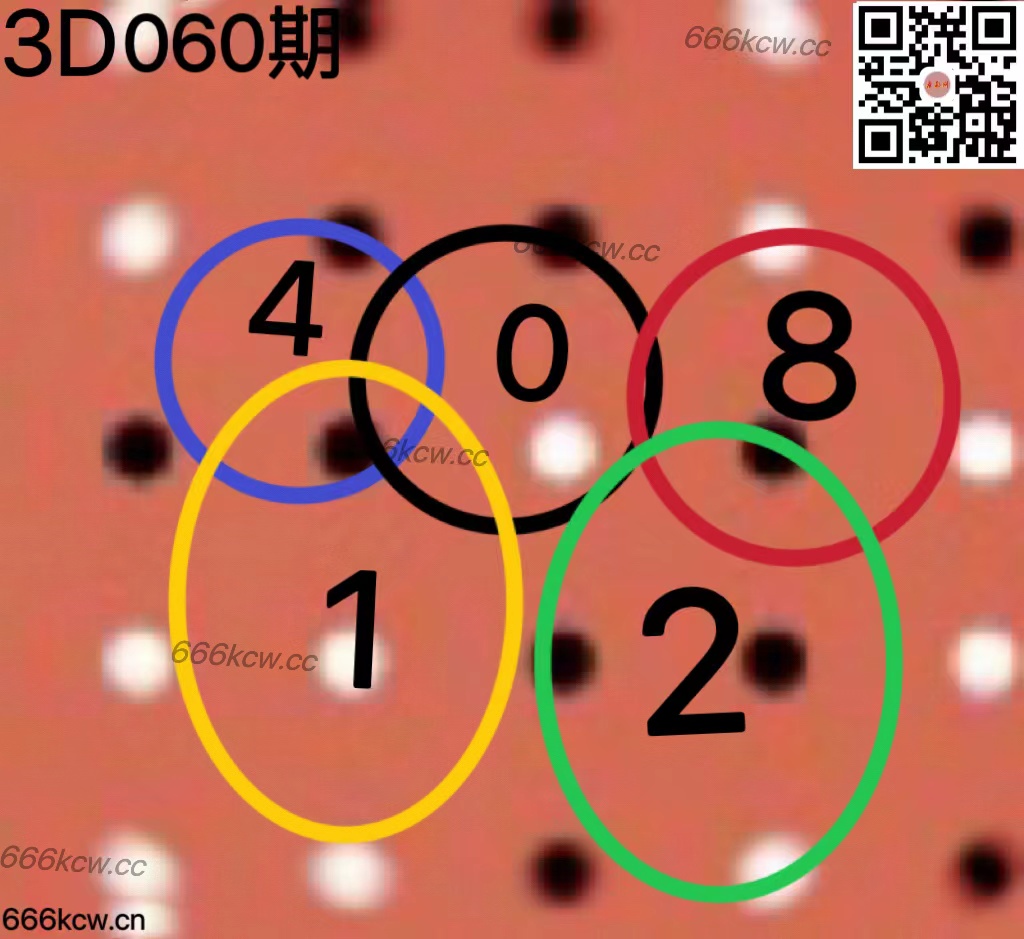 20250311 (43)