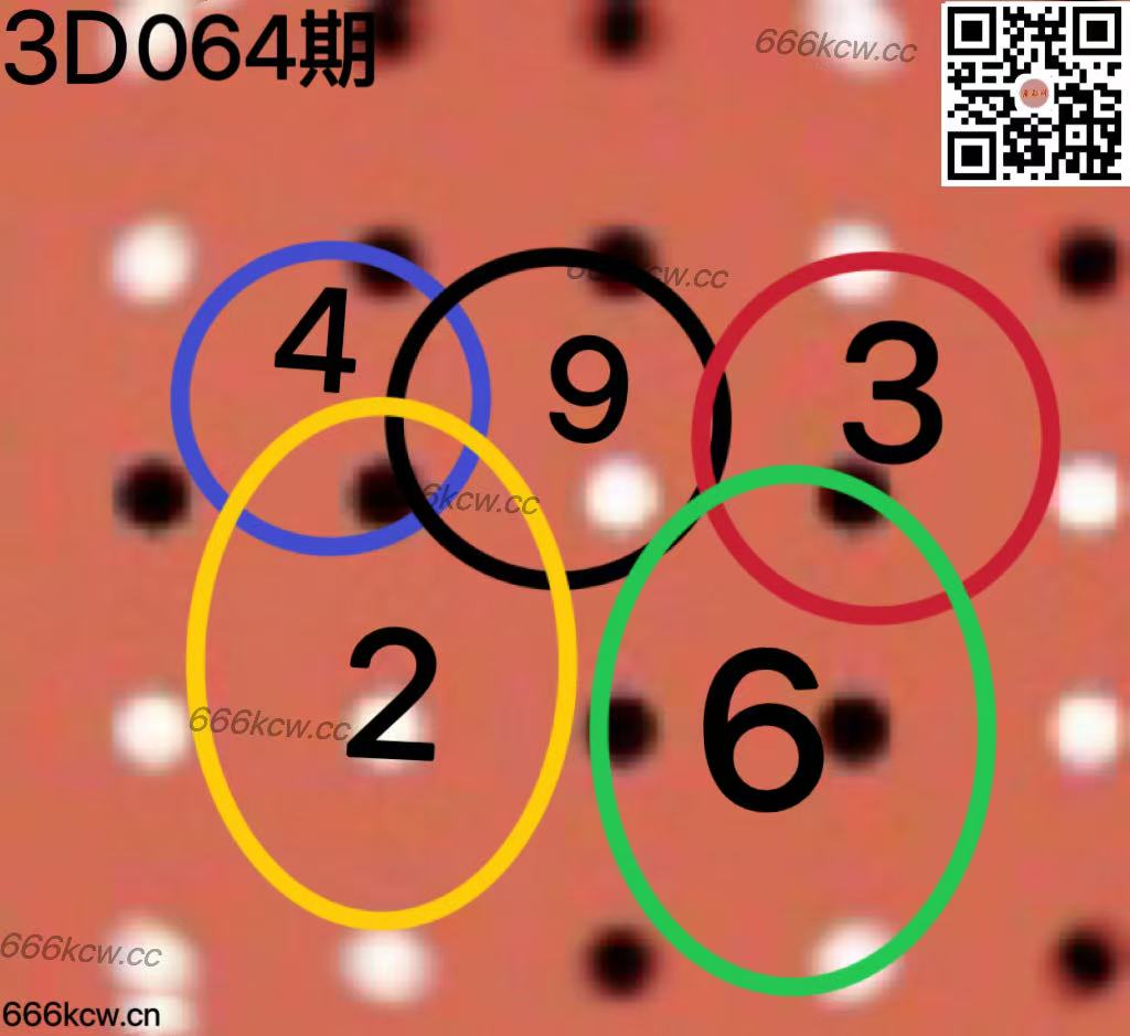 20250315 (31)