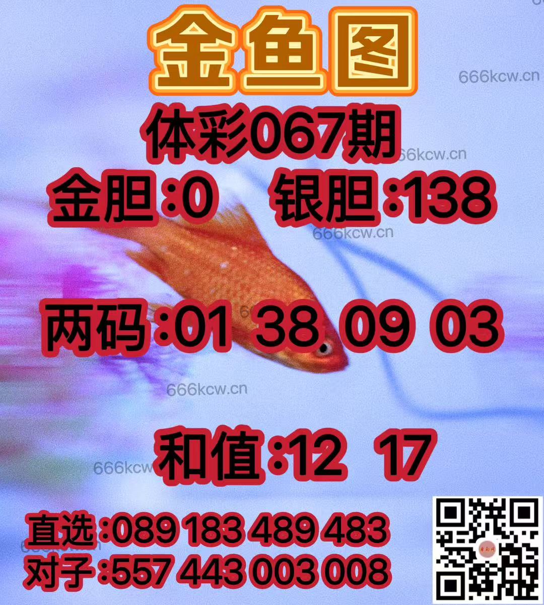 20250318 (37)