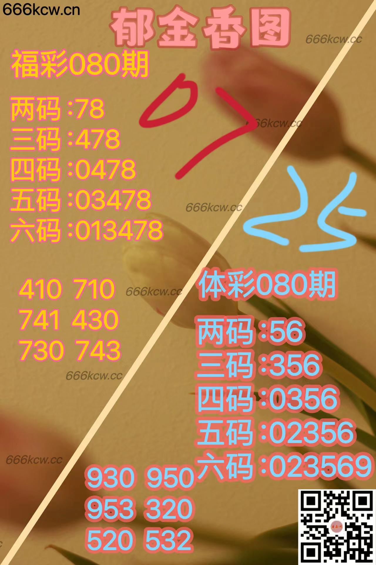 20250331 (6)