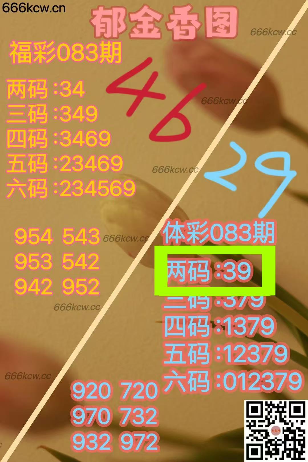 微信图片_202504040058091