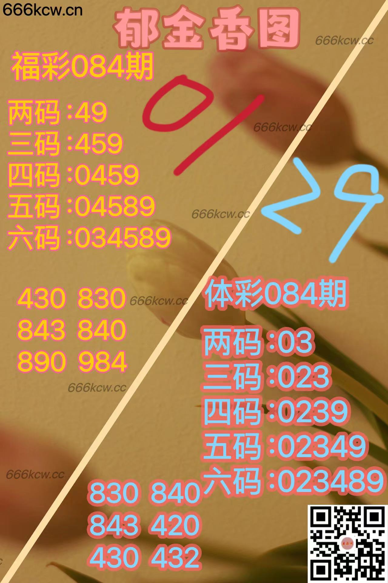 20250404 (6)