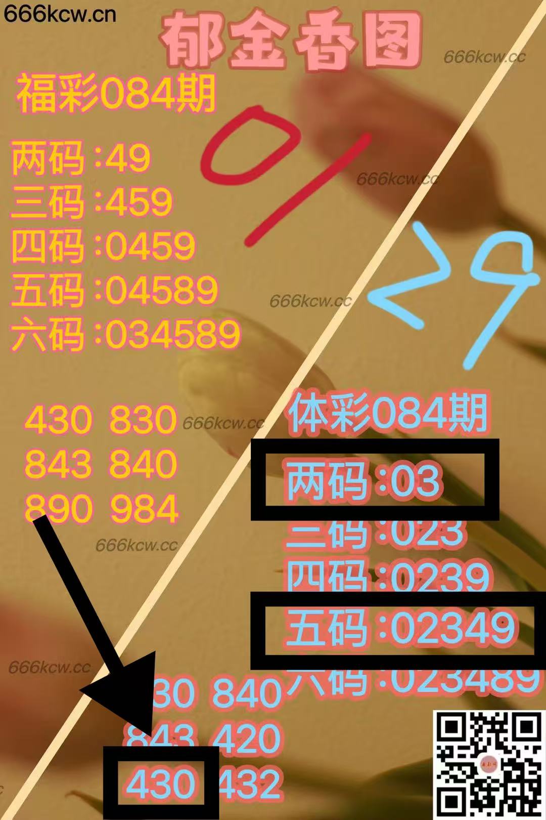 微信图片_202504050010081