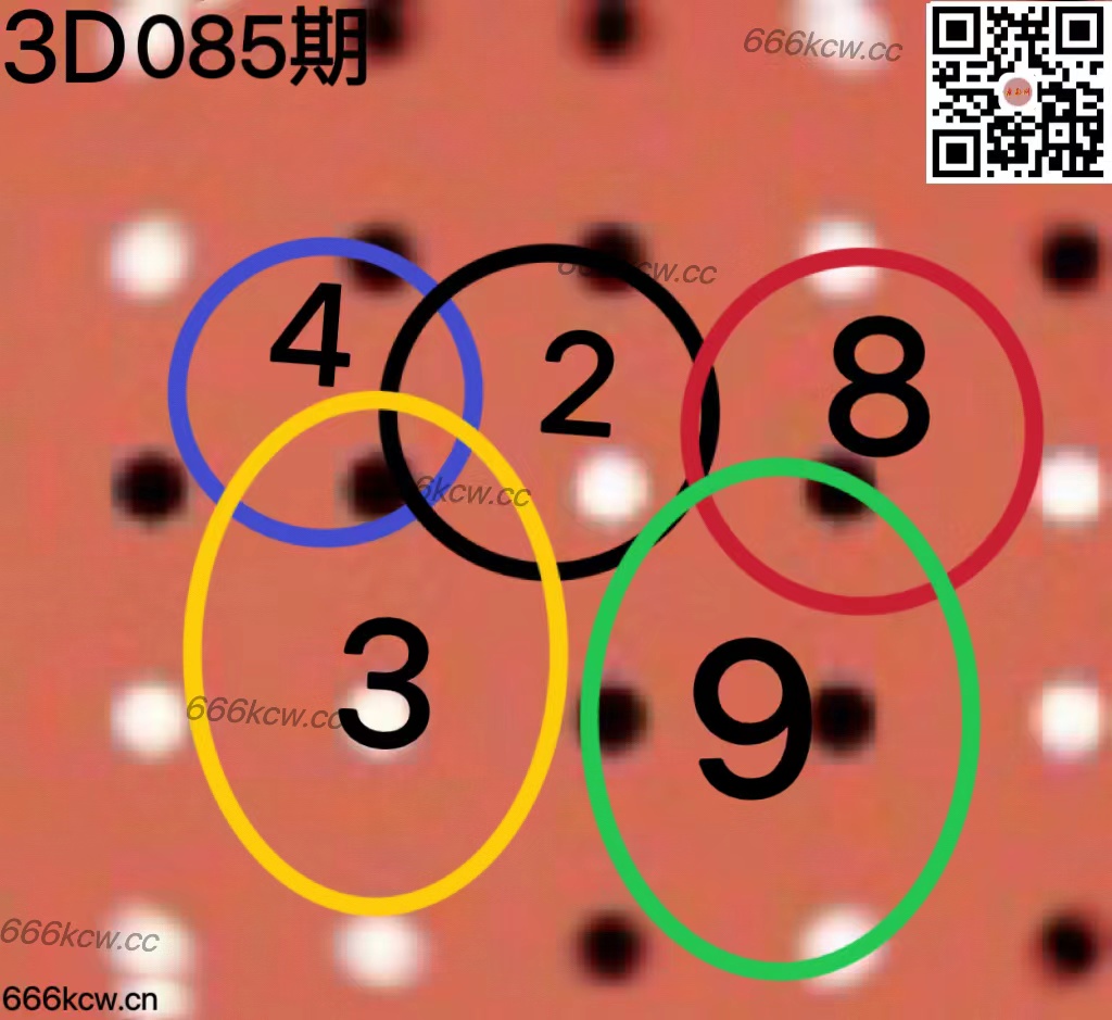 20250405 (43)