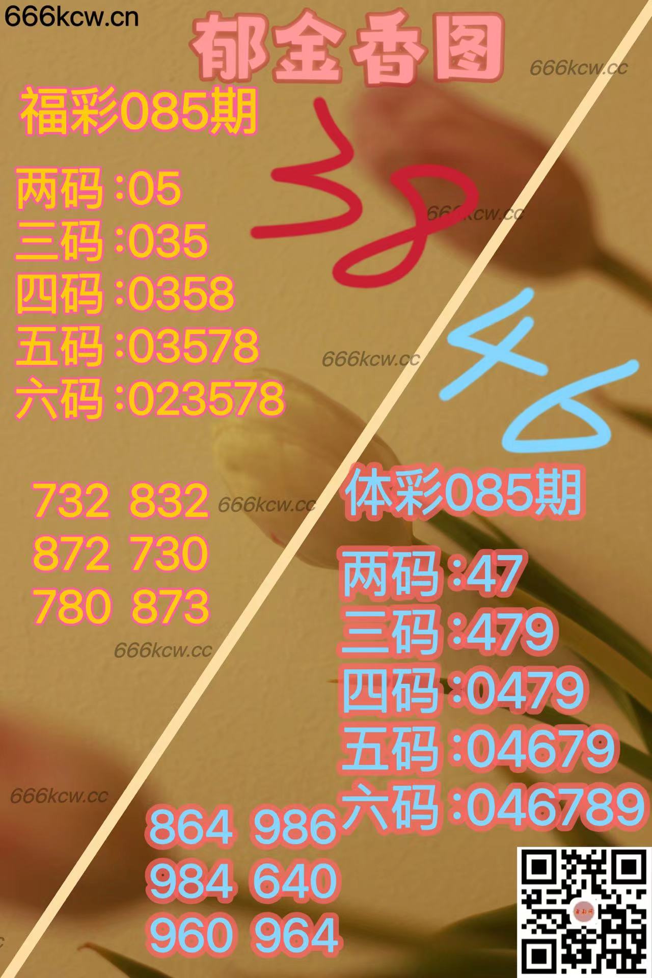 20250405 (30)