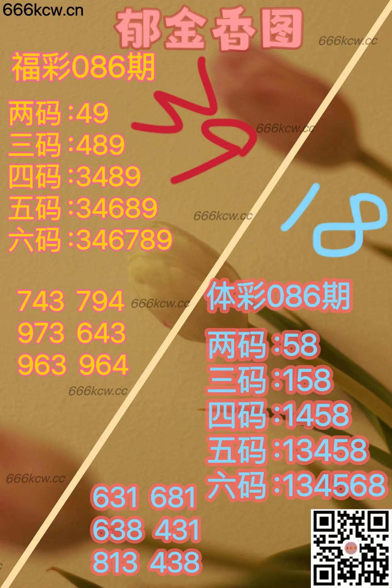 20250406 (29)