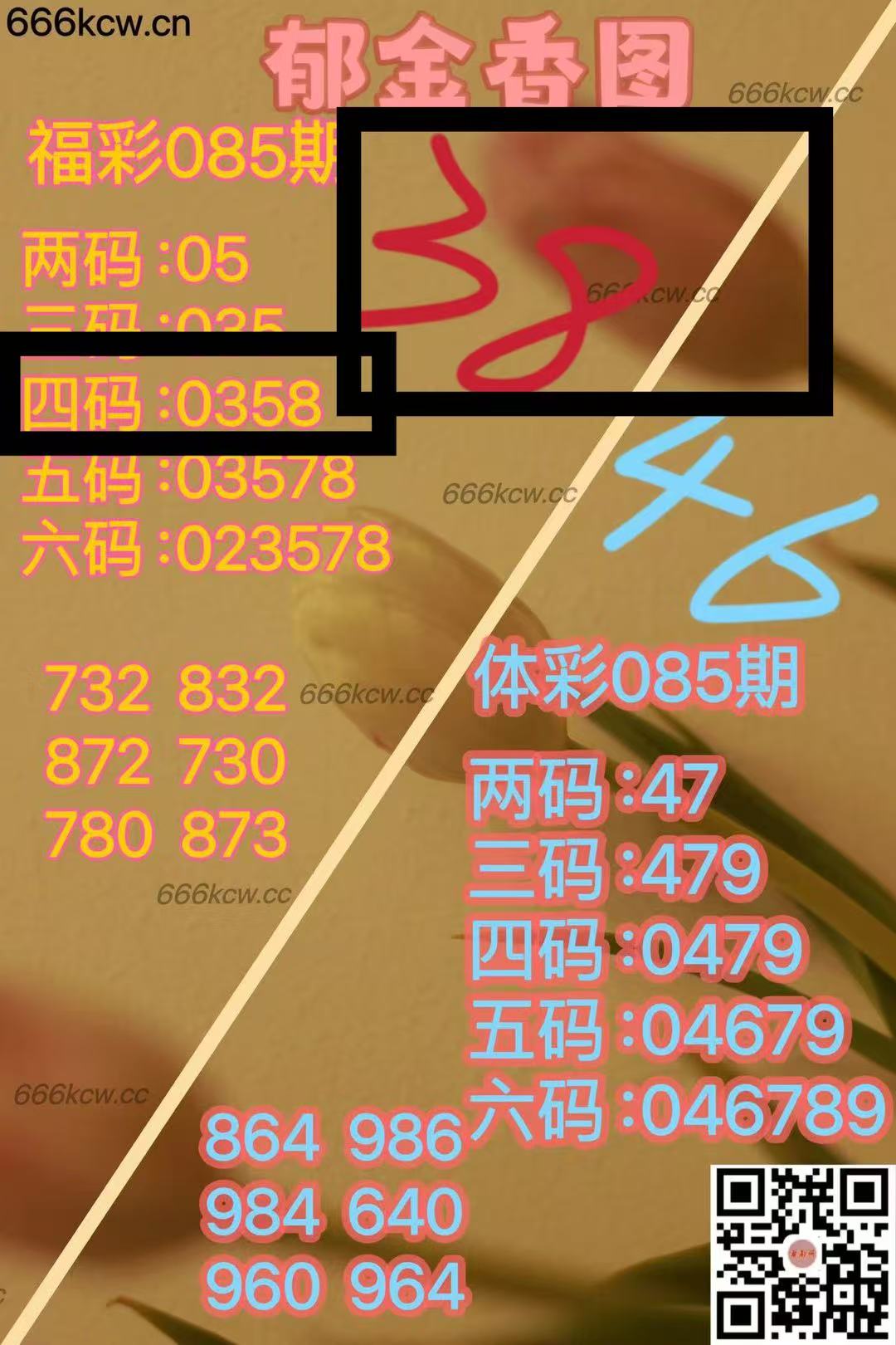 微信图片_202504060043311