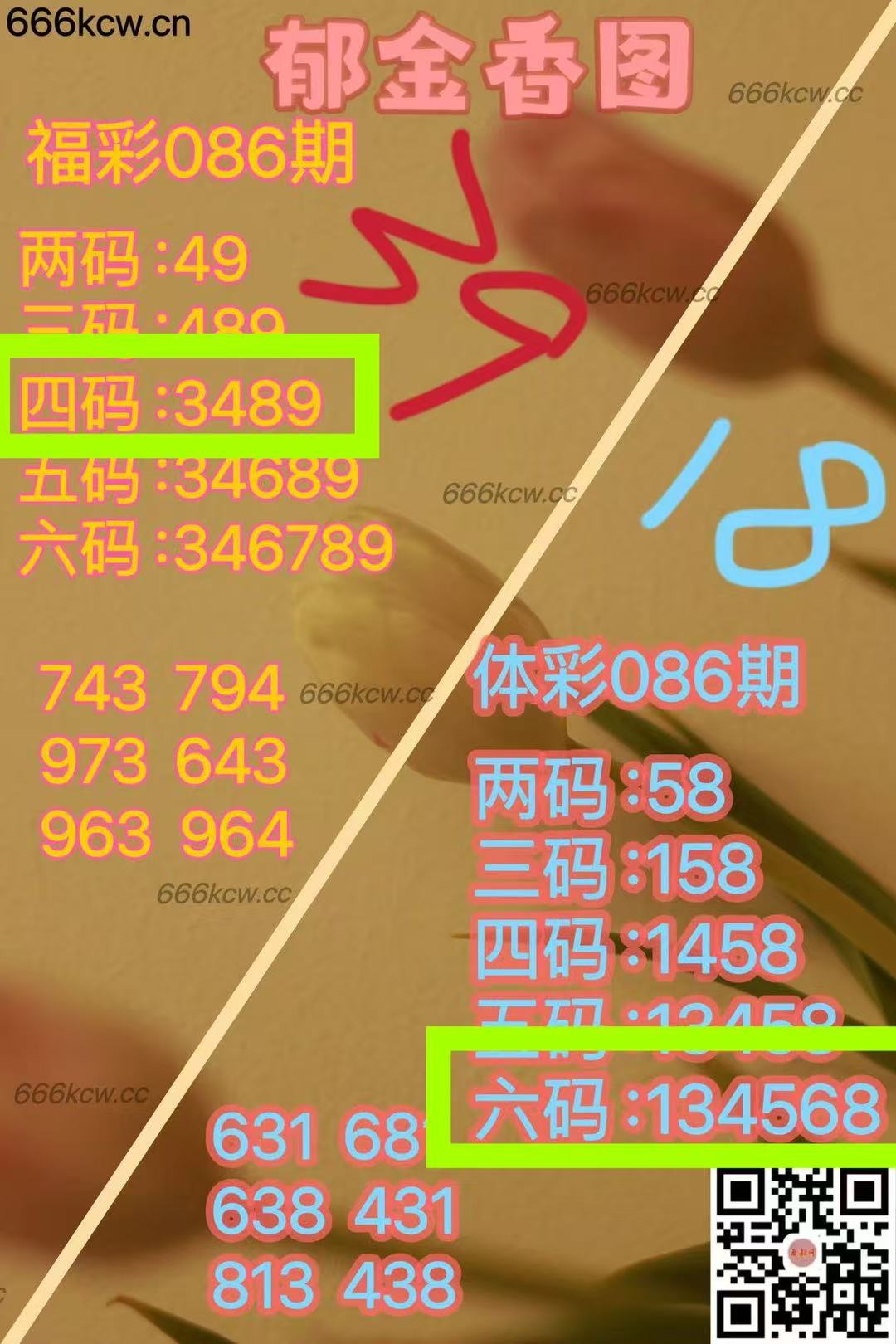 微信图片_20250406230604