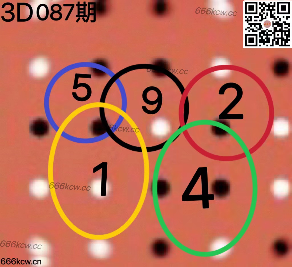 20250407 (40)