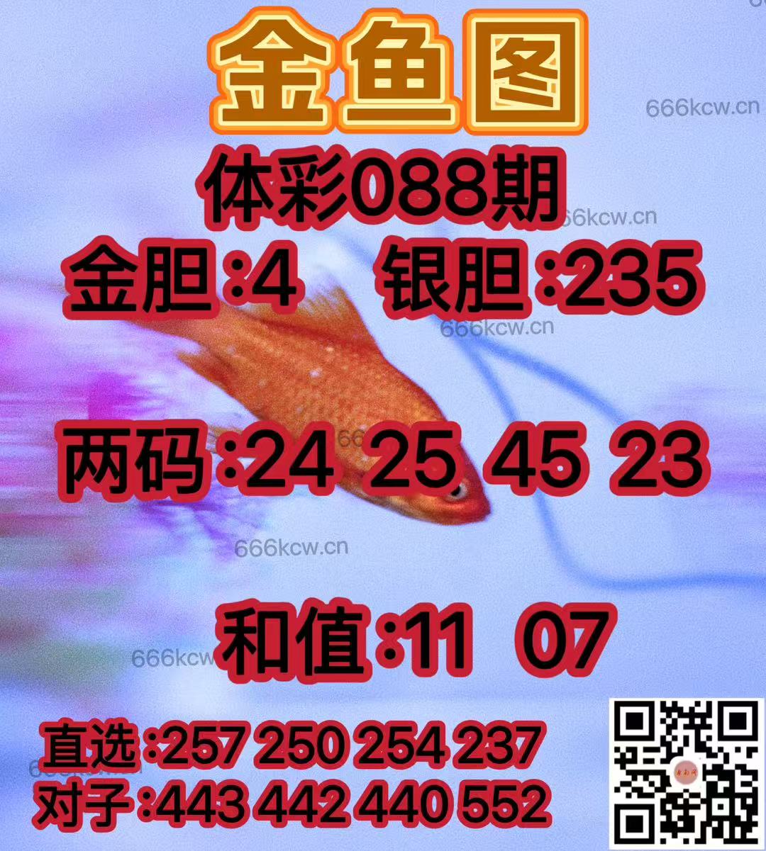 20250408 (18)