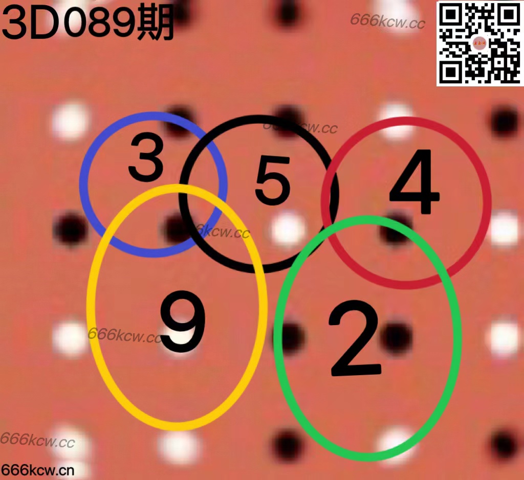 20250409 (37)