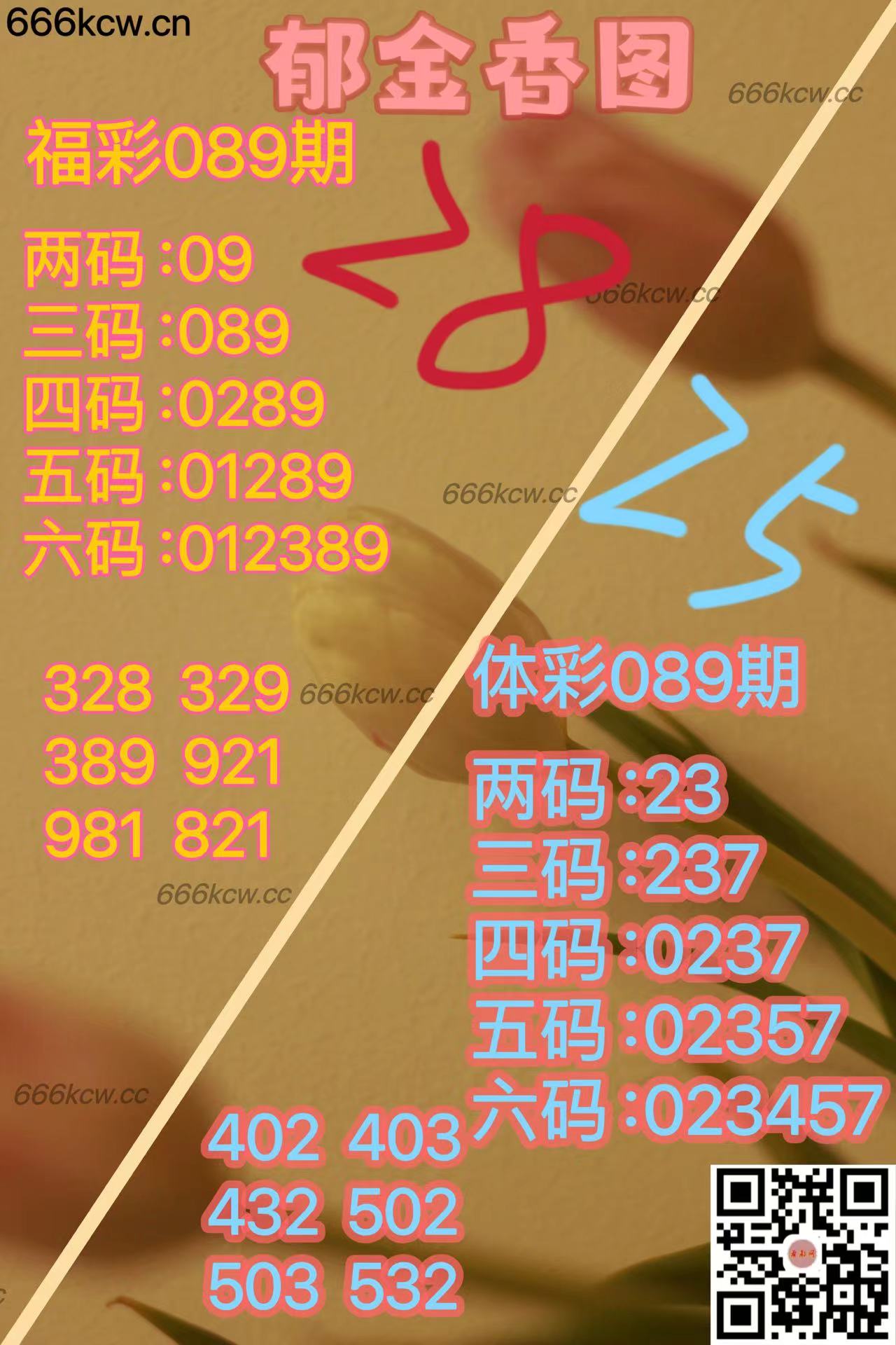 20250409 (44)