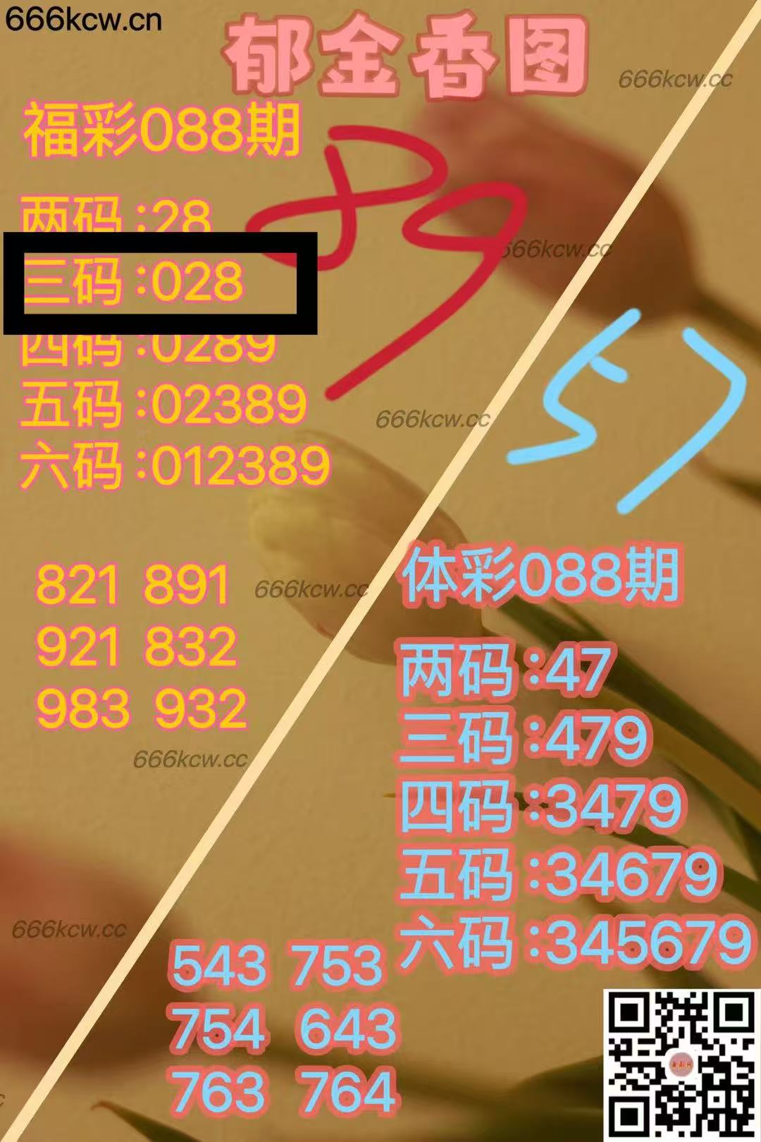 微信图片_20250409000215