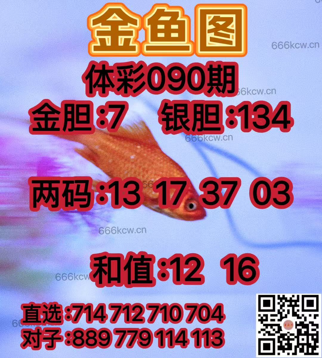 20250410 (25)